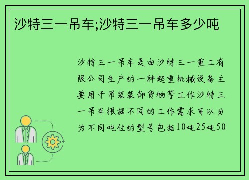 沙特三一吊车;沙特三一吊车多少吨