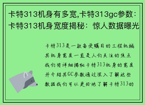 卡特313机身有多宽,卡特313gc参数：卡特313机身宽度揭秘：惊人数据曝光