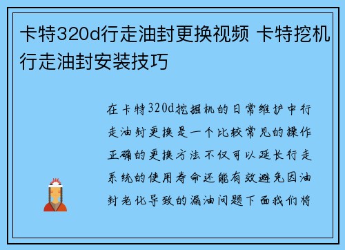 卡特320d行走油封更换视频 卡特挖机行走油封安装技巧