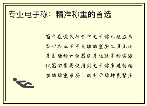 专业电子称：精准称重的首选